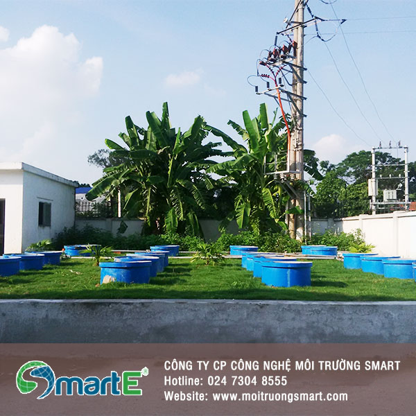 Xử lý nước thải sinh hoạt 300m3/ng.đêm tại Hiệp Hòa, Bắc Giang